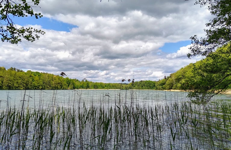 Barnim Liepnitzsee