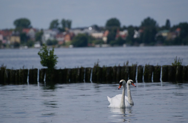 Müggelsee Berlin