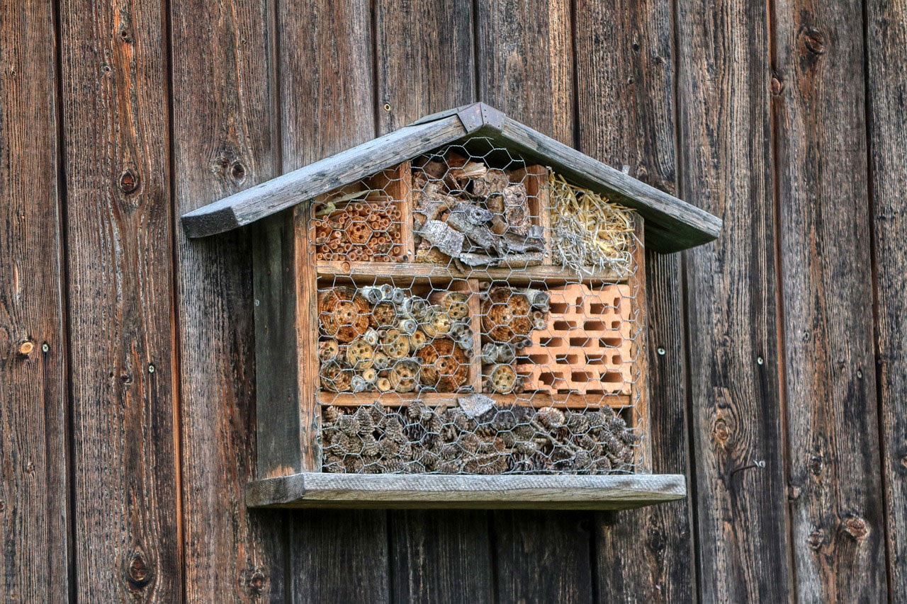 Bienenhotel