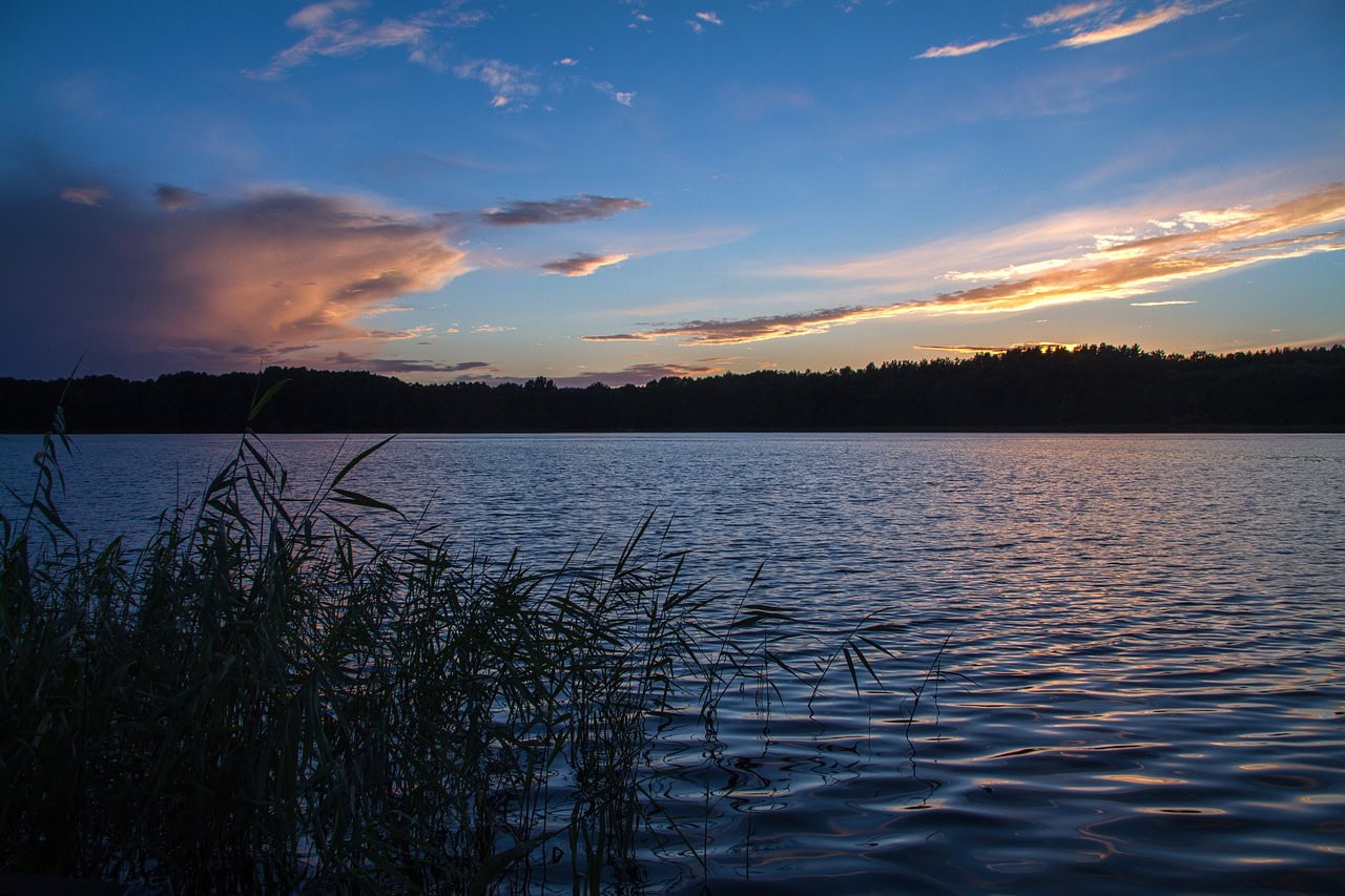 Müritz